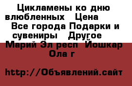 Цикламены ко дню влюбленных › Цена ­ 180 - Все города Подарки и сувениры » Другое   . Марий Эл респ.,Йошкар-Ола г.